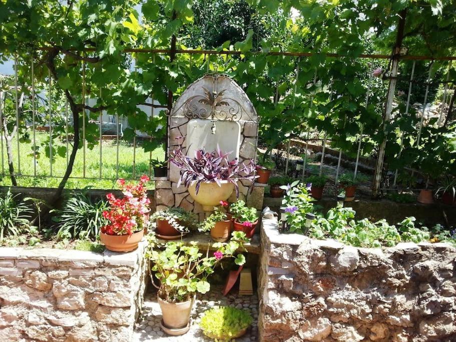 Dubrovnik Quiet Center Apartment Misur Екстер'єр фото